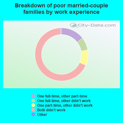 Breakdown of poor married-couple families by work experience